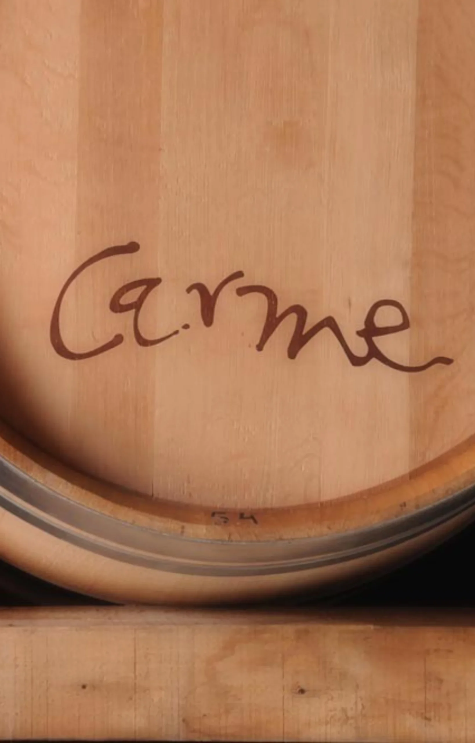 bodega en Valbuena del Duero-vitivinicola-tintocarme-2