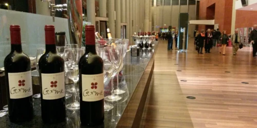 bodega-en-valbuena-del-duero-tinto-carme-historia-1