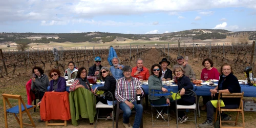 bodega-en-valbuena-del-duero-tinto-carme-historia-2